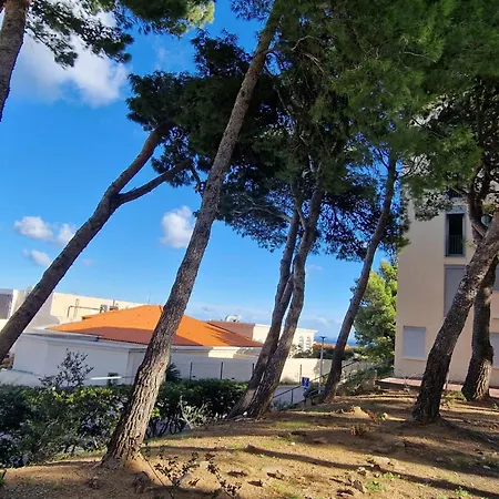 T2 Rdc, Loggia, Vue A - Fr-1-309-535 * Banyuls-sur-Mer